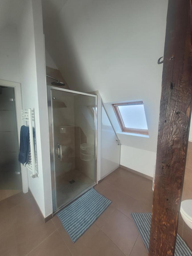 Studio 50M2 Au Bord De L'Eau A Strazburg Dış mekan fotoğraf