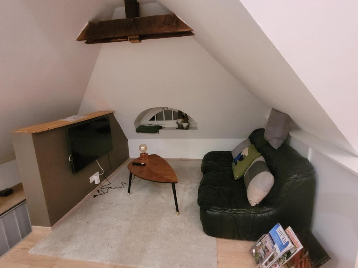 Studio 50M2 Au Bord De L'Eau A Strazburg Dış mekan fotoğraf