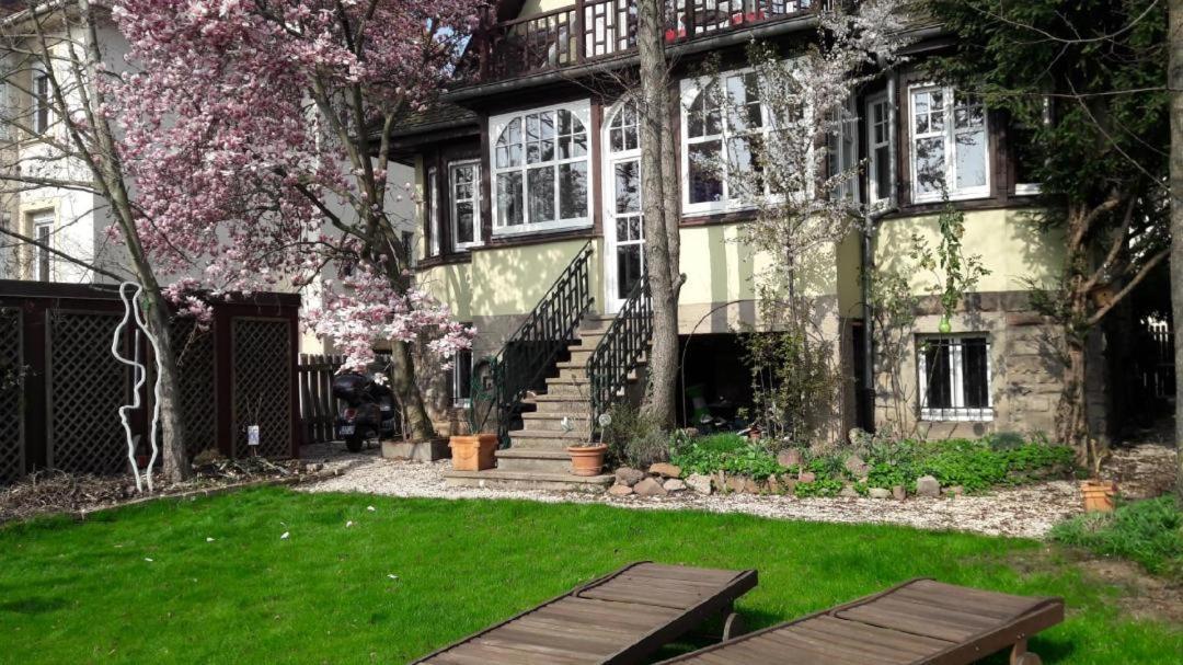 Studio 50M2 Au Bord De L'Eau A Strazburg Dış mekan fotoğraf