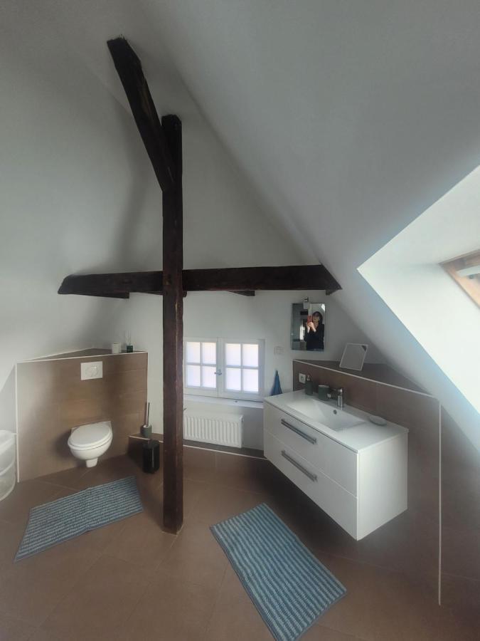 Studio 50M2 Au Bord De L'Eau A Strazburg Dış mekan fotoğraf