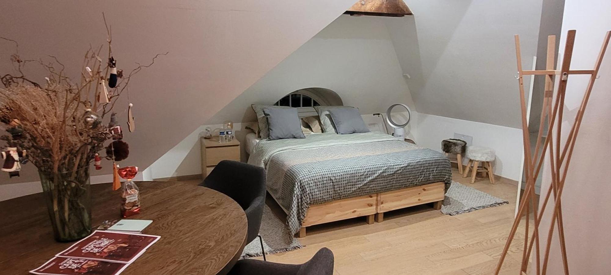 Studio 50M2 Au Bord De L'Eau A Strazburg Dış mekan fotoğraf